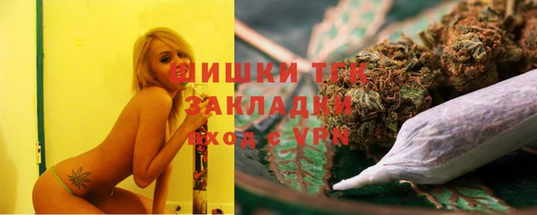 дживик Бородино