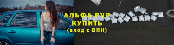 дживик Бородино