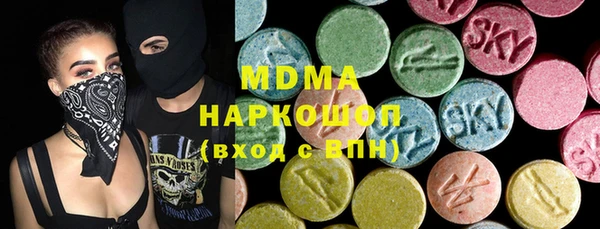 дживик Бородино