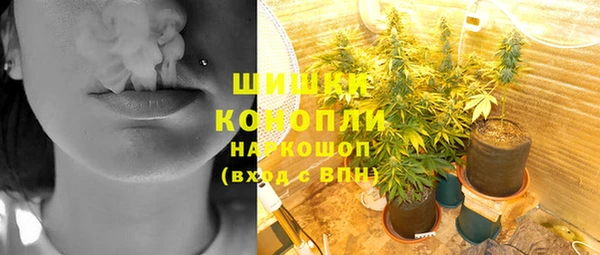первитин Богородицк