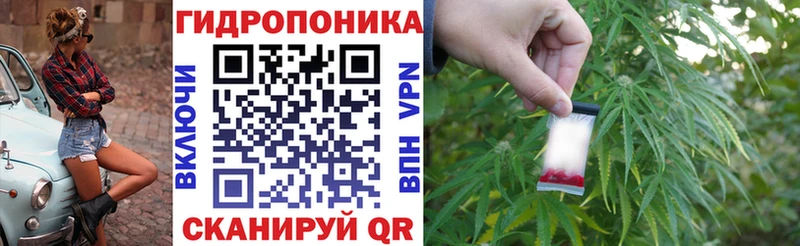 МЕГА маркетплейс Славгород МАРИХУАНА семена что такое наркотик
